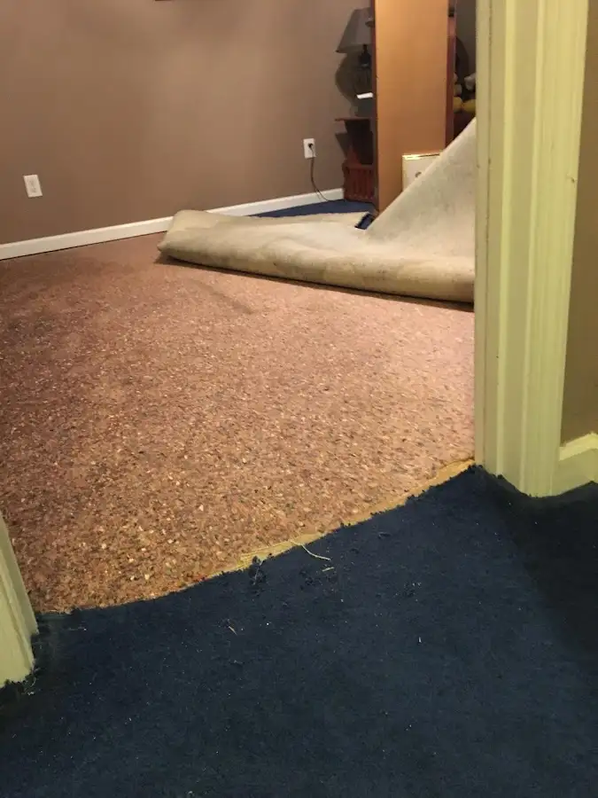 Carpet pad removal revealing water damage during Water Mitigation Services in Woodburn