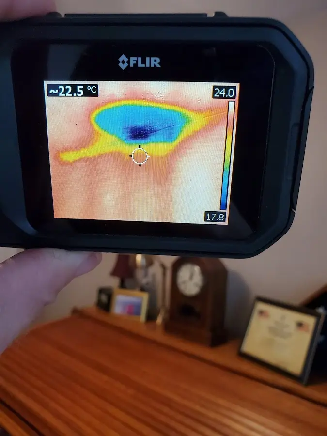 Thermal imaging inspection for water damage in Woodburn