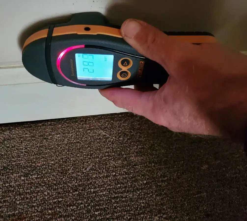 Moisture detection at baseboard during Burst Pipe Cleanup in Woodburn